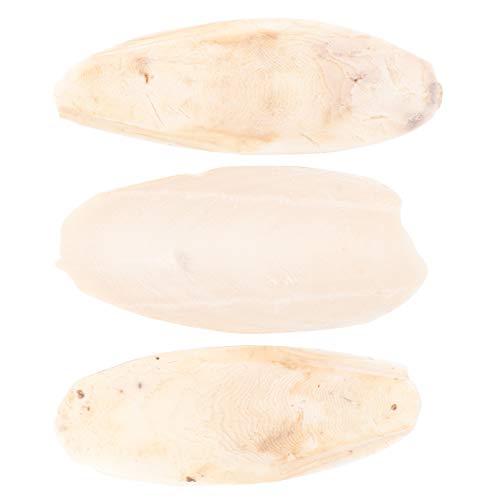 UKCOCO Cuttlebone für Vögel 3 Stücke Cuttlebone Spielzeug Budgie Spielzeug für Käfig Papagei Freude Spielzeug für Wellenspitze Papagei Vogel Fröhlichkeit Spielzeug Parrot Kauen Spielzeug von UKCOCO