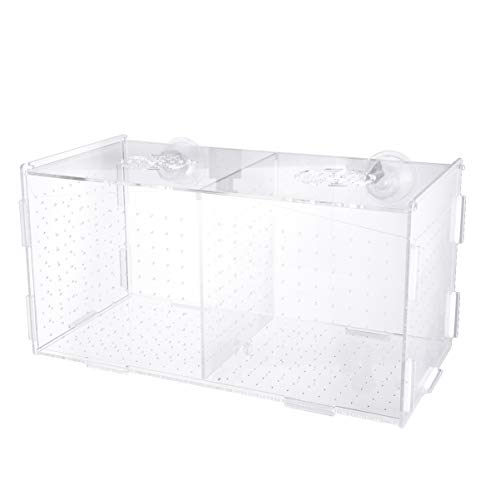 UKCOCO Fischernetz Hatchinale Hatchamals Brutkasten Für Fische Halter Für Aquarien Aquarium Zuchtbecken Terrarium von UKCOCO