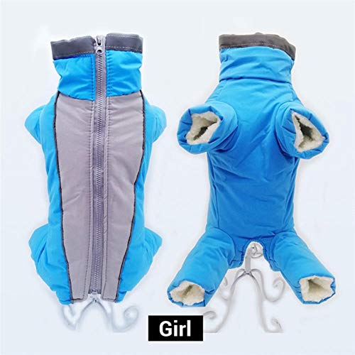 UKKD Hundemantel Winterkleidung Für Hunde Warme wasserdichte Pet-Overall-Hose Männer/Frauen Hund Reflective Kleine Hunde-Bekleidung Welpen,Mädchen Blau,M 12 von UKKD