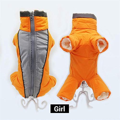 UKKD Hundemantel Winterkleidung Für Hunde Warme wasserdichte Pet-Overall-Hose Männer/Frauen Hund Reflective Kleine Hunde-Bekleidung Welpen,Mädchen Orange,XL 16 von UKKD