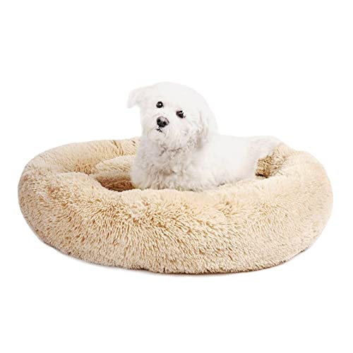 UKKO Haustierbett Runder Hundebett Lange Plüsch Haustierbetten Für Kleine Mittelgroße Haustiere Puppenmatte Kennel Couch Für Hunde Katzenkorb-Orange,40Cm Diameter Small von UKKO