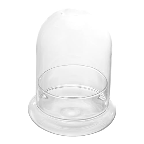 ULTECHNOVO 1Stück Ökologische Glasflasche für DIY Mikrolandschaften Terrarium zur Stilvollen Heimdekoration für Büro Wohnzimmer Schlafzimmer ULTECHNOVO 1Stück Ökologische Glasflasche für DIY Mikrolandschaften Terrarium zur Stilvollen Heimdekoration für Büro Wohnzimmer Schlafzimmer von ULTECHNOVO