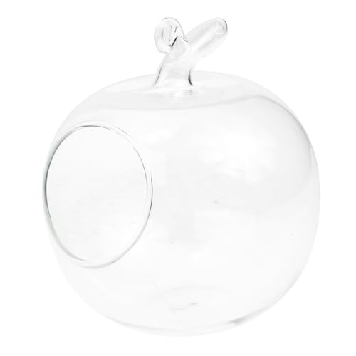 ULTECHNOVO Apfelförmiger Glasterrarium für Mikrolandschaften Kreative Tischdekoration für Wasserpflanzen Transparente DIY Glasflasche für Wohnzimmer und Büro für Pflanzen ULTECHNOVO Apfelförmiger Glasterrarium für Mikrolandschaften Kreative Tischdekoration für Wasserpflanzen Transparente DIY Glasflasche für Wohnzimmer und Büro für Pflanzen von ULTECHNOVO