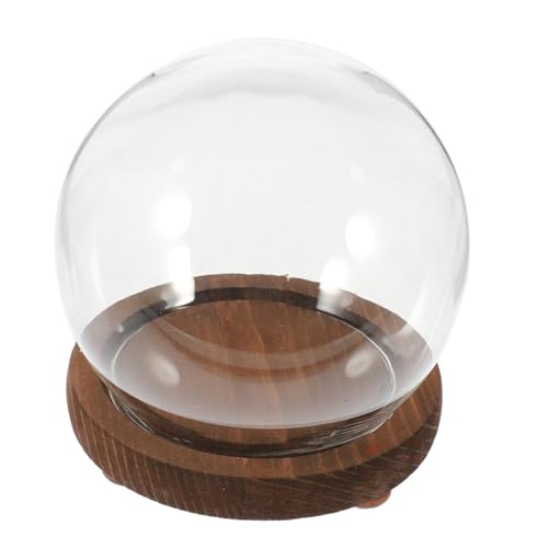 ULTECHNOVO Kugelförmige Glasabdeckung Ornament Vitrine Glasglocke Kugel Glas Display Kuppel Runde Glaskugel Dekoratives Gefäß Cloche Glasterrarium Mit Deckel Cloche Gefäß ULTECHNOVO Kugelförmige Glasabdeckung Ornament Vitrine Glasglocke Kugel Glas Display Kuppel Runde Glaskugel Dekoratives Gefäß Cloche Glasterrarium Mit Deckel Cloche Gefäß von ULTECHNOVO