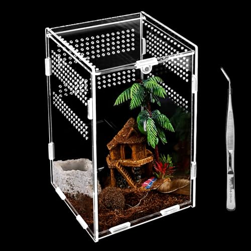 Reptilien Terrarium Box, Transparente Fütterungsbox Acryl, 20*12*12cm Reptil Fütterungsbox, Reptilien Aufzuchtbox mit Pinzette, Insekten Futterbox für Spinnen, Eidechsen, Käfer, Frosch, Schlangen etw. von UMILKI