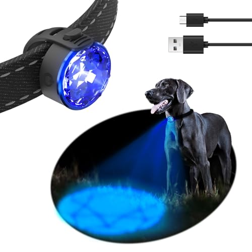 UMIONE PET LIGHT: Wasserdichtes Hundelicht, langlebig und ideal für Nachtspaziergänge (in Geschenkverpackung) (UMIONE-BLAU-01) von UMIONE