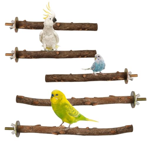 Sitzstangen FüR Wellensittiche 5 StüCk, 20cm 25cmfüR Vogel Stock, Natur Sitzstangen Set FüR VöGel, FüR Wellensittich ZubehöR, Vogelspielzeug FüR Wellensittiche，VogelkäFig ZubehöR Vogelstangen Holz von UMLIPOT