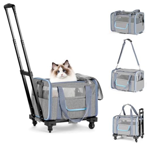 UNICITII Transportbox für kleine Katzen, mittelgroße Katzen, Welpen bis zu 9 kg, von Fluggesellschaften zugelassene Tragetasche, weiche Seiten, zusammenklappbar, Reise-Welpen-Tragetasche von UNICITII