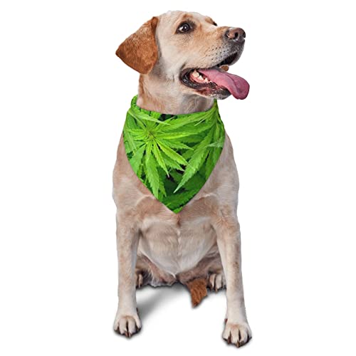 Bandana mit grünem Blattdruck, dreieckig, verstellbar, waschbar, für kleine, mittelgroße und große Hunde und Katzen von UNIOND