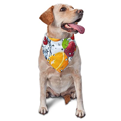 Fruit with Splash Water Printed Triangle Bandana Verstellbarer Haustier Schal Waschbares Halstuch für Kleine Mittlere Große Hunde Katzen von UNIOND