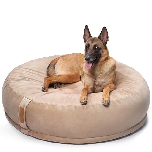 UNIQBED VierbeinWelt Premium Orthopädisches Hundebett für große, mittelgroße & kleine Hunde [Waschbar & Abnehmbarer Bezug] (Beige, [XL] Ø110 x Höhe 32 cm) von UNIQBED