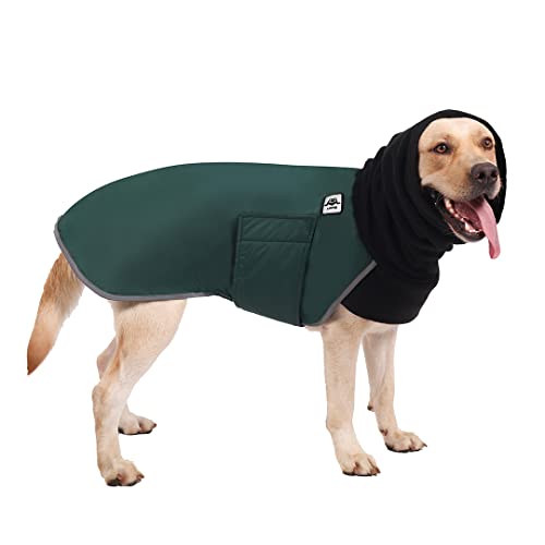 Hund Wasserdichte Jacke, Wintermantel für Hunde, Wasserdichter Winter Hundemantel, Winter Hundekleidung, Wasserdicht Hund Winterkleidung, Hund Regenmantel für Kleine Mittel Große Labrador Grün von UOMIO