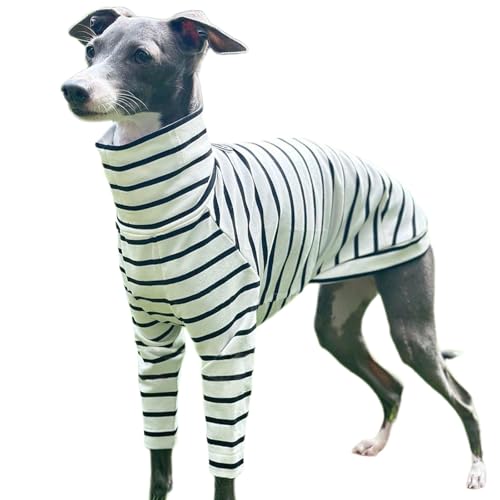 UOSIA Hundehemden Für Italienische Greyhound Stretch Hund Baumwollhemd Whippet Welpe Pullover T Shirt Weicher Komfort Pet Pyjamas Overall Für Kleine Mittlere Große Hunde von UOSIA