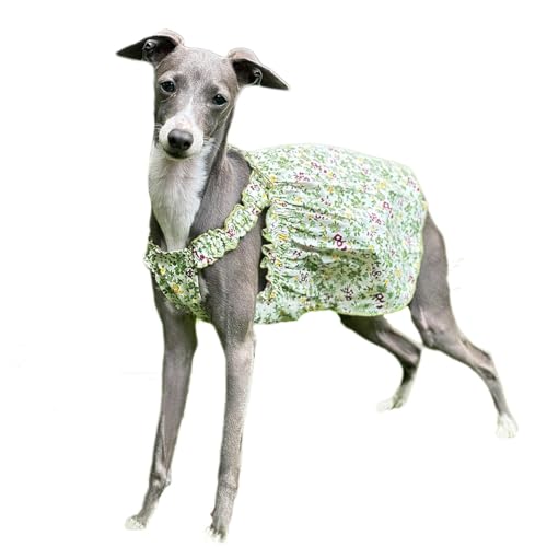 UOSIA Italienischer Windhund Hundekleid Hund Blumenmädchen Kleid Sommer Welpe Blumenweste Rock Niedliches Hundeprinzessinnenkleid für Hündinnen von UOSIA