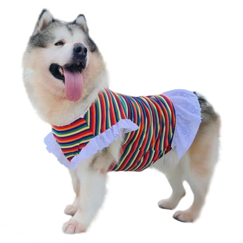 UOSIA Regenbogenfarbenes, buntes gestreiftes großes Hundekleid, dehnbarer Pullover, atmungsaktiv, Hunde-Shirt, Spitze, ärmellos, Tutu-Weste, T-Shirt-Rock, Größe M UOSIA Regenbogenfarbenes, buntes gestreiftes großes Hundekleid, dehnbarer Pullover, atmungsaktiv, Hunde-Shirt, Spitze, ärmellos, Tutu-Weste, T-Shirt-Rock, Größe M von UOSIA