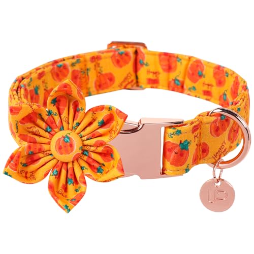 Halloween-Kürbis-Hundehalsband mit Blume, UP URARA PUP Orange, Halloween-Hundehalsband mit verstellbarer Metallschnalle, ausgefallenes Halloween-Haustierhalsband, Fliege, Geschenk für Mädchen, Jungen, von UP URARA PUP