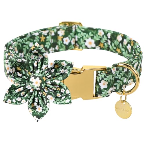 Sommer-Hundehalsband mit Blume, schönes Blumenmuster, Hundehalsband, abnehmbare Blumenschleife, Welpenhalsband mit verstellbarer Metallschnalle für Hunde und Katzen, Größe M, Halsumfang 34,3–55,9 cm von UP URARA PUP