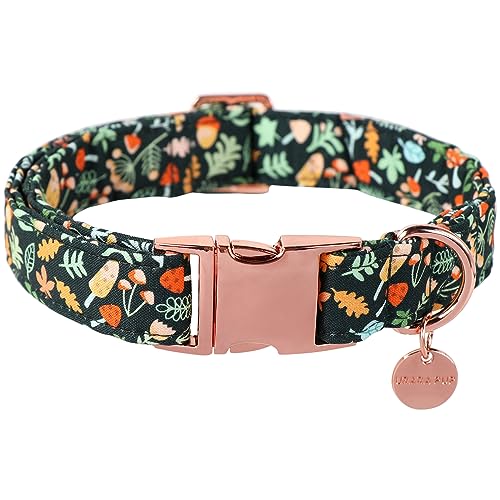 UP URARA PUP Daisy Fall Baumwoll-Hundehalsband mit Metallschnalle, Geschenk, Herbsthalsband für kleine, mittelgroße und große Mädchen oder Jungen, niedlich, langlebig, bequem von UP URARA PUP