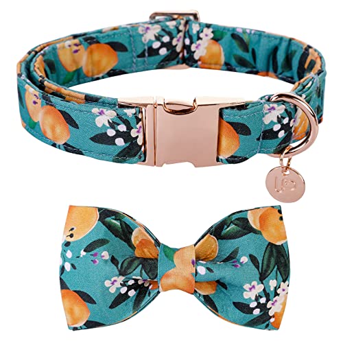 UP URARA PUP Fliege Halsband Party Hundehalsband Verstellbares Haustier Geschenke Halsband für Kleine Mittlere Große Hunde Mädchen Junge Hunde Gehen Laufen Hund Fliege Halsband Frühling Sommer Herbst von UP URARA PUP