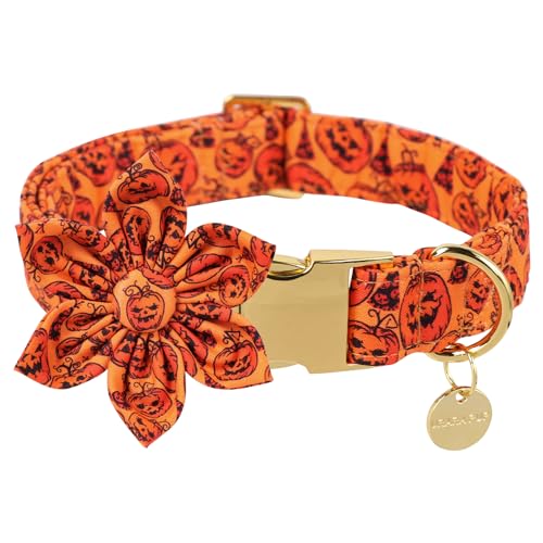 UP URARA PUP Halloween Hundehalsband mit Blume, Kürbis Baumwolle Blumenhalsband für Welpen Mädchen Hund, Halloween Blumenhalsband mit robuster Metallschnalle, bezauberndes Halloween-Haustierhalsband, von UP URARA PUP