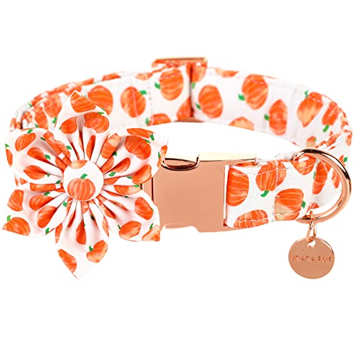 UP URARA PUP Halloween Hundehalsband mit Blume, Kürbis Hund Blumenhalsband für X-Large Girl Boy Dog, Fall Hundehalsband Blume mit langlebiger Metallschnalle, XL, Halsumfang 40.6-66 cm von UP URARA PUP