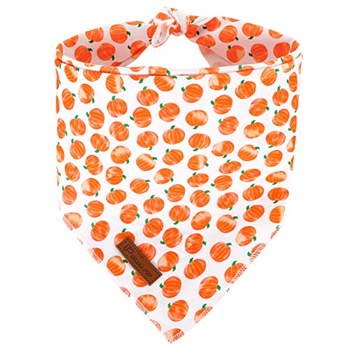 UP URARA PUP Halloween Kürbis Hund Bandana, Thanksgiving Dreieck Bid Schal für Kleine Mittlere Hunde, Herbst Hund Bandana, Niedlich Welpen Bandana von UP URARA PUP