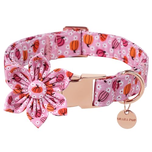 UP URARA PUP Halloween-Kürbis-Hundehalsband mit Blume, rosa Halloween-Welpen-Blumenhalsband mit verstellbarer Metallschnalle, ausgefallenes Halloween-Hundehalsband, Fliege, Geschenk für Mädchen, von UP URARA PUP