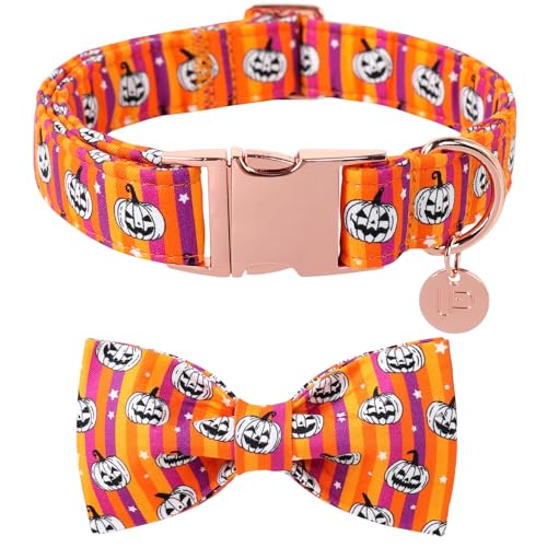 UP URARA PUP Halloween-Kürbis-Hundehalsband mit Fliege, Halloween-Welpenhalsband mit verstellbarer Metallschnalle, ausgefallenes Hundehalsband, Fliege für Mädchen, Jungen, Hund, Größe L von UP URARA PUP