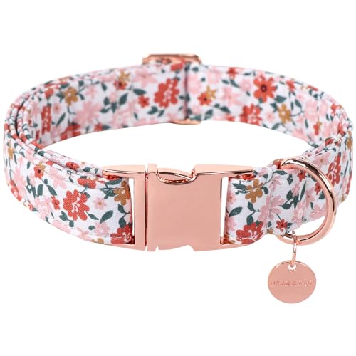 UP URARA PUP Hundehalsband für den Sommer, kleine Blumen-Hundehalsband, Baumwolle, Welpenhalsband mit verstellbarer Schnalle für kleine, mittelgroße und große Mädchen und Jungen von UP URARA PUP