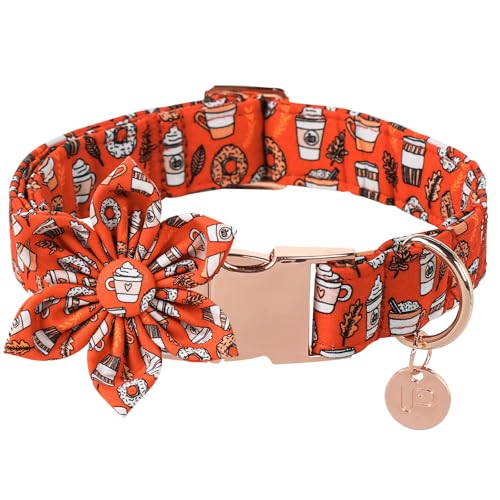 UP URARA PUP Hundehalsband mit Blume, orangefarbenes Hundehalsband mit verstellbarer Metallschnalle, ausgefallenes Hundehalsband, Fliege, Geschenk für kleine, mittelgroße und große Mädchen, Jungen, von UP URARA PUP