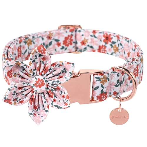 UP URARA PUP Hundehalsband mit Blume, süßes Blumenhalsband, abnehmbare Blumenschleife, Welpenhalsband mit Metallschnalle für Hunde, XS, Halsumfang 20,3–30,5 cm von UP URARA PUP