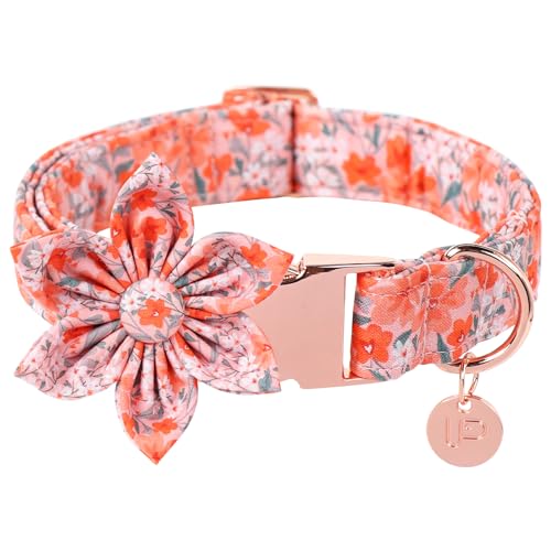 UP URARA PUP Hundehalsband mit Blume, süßes orangefarbenes Blumenhalsband, abnehmbare Blume, Schleife, Welpenhalsband mit Metallschnalle für Hunde, M, Halsumfang 34,3–55,9 cm von UP URARA PUP