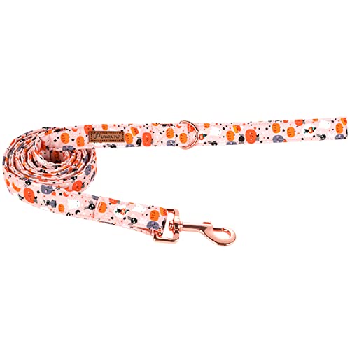 UP URARA PUP Set aus Hundeleine und Halsband, robuste, langlebige Halloween-Baumwollleine für kleine bis große Hunde von UP URARA PUP