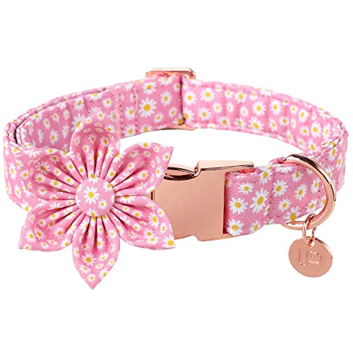 UP URARA PUP Sommer Hundehalsband mit Blume, Baumwolle Niedliche Blume Hundehalsband, Rosa Blumenhalsband für Welpen Junge Mädchen Hund oder Katze, XS, Hals 8-12 Zoll von UP URARA PUP