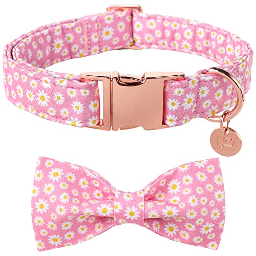 UP URARA PUP Sommer-Hundehalsband mit Fliege, Baumwolle, niedliches Fliege-Hundehalsband, rosa Fliege-Halsband für große Jungen, Mädchen, Hund, bequemes blaues Hundehalsband mit Metallschnalle, L, Halsumfang 40,6–61 cm von UP URARA PUP