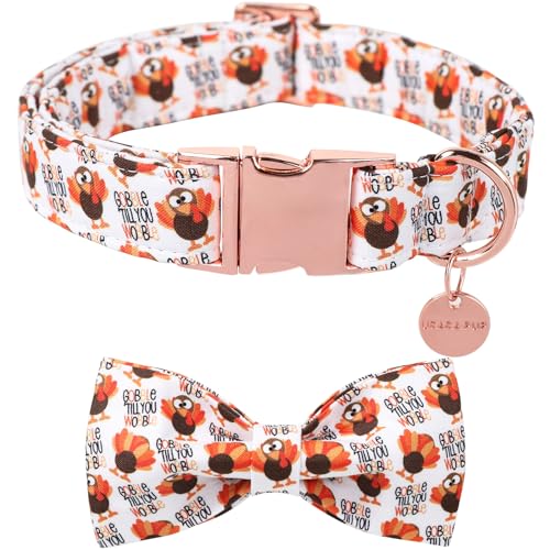 UP URARA PUP Thanksgiving Hundehalsband mit Fliege, Türkei, Baumwolle, Fliege für Welpen, Mädchen, Hund oder Katze, Herbstfliege, Halsband mit robuster Metallschnalle, Truthahn-Haustierhalsband, XL, von UP URARA PUP