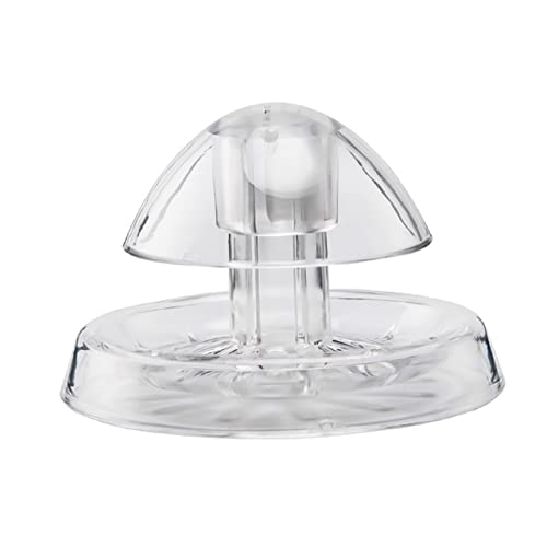 UPKOCH Aquarien-schneckenfänger Aus Professionelles Schneckenentfernungs-Tool Mit Stomata-Design Natürliche Schneckenfalle Für Aquariumreinigung Geeignet Für Heim Und Hotelaquarien UPKOCH Aquarien-schneckenfänger Aus Professionelles Schneckenentfernungs-Tool Mit Stomata-Design Natürliche Schneckenfalle Für Aquariumreinigung Geeignet Für Heim Und Hotelaquarien von UPKOCH