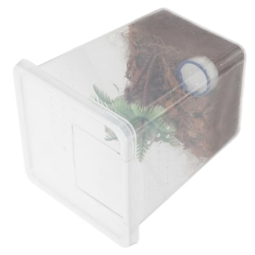 UPKOCH Transparente Spinnenbox aus Kunststoff Ausbruchssicher Platzsparend Kleine Terrarien Aufzuchtbox für Springspinnen und Kleine Haustier Spinnen Einfache für Spinnenzucht und UPKOCH Transparente Spinnenbox aus Kunststoff Ausbruchssicher Platzsparend Kleine Terrarien Aufzuchtbox für Springspinnen und Kleine Haustier Spinnen Einfache für Spinnenzucht und von UPKOCH