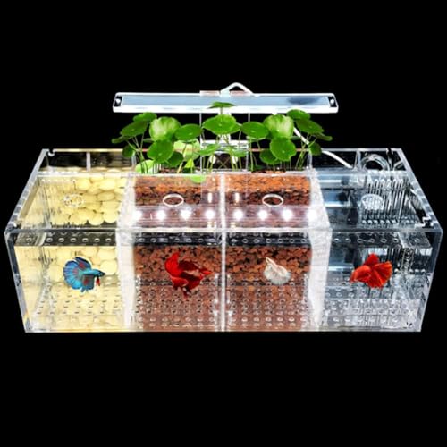 UPWONEC HD -Acryl -Betta -Fischtank, Büro -Top -Bio -Glasaquarium, Moderne Transparente Aquaponik -Fischtank, LED -Licht Und Filtersystem, Rechteckige Goldfischschale,4 Rooms von UPWONEC