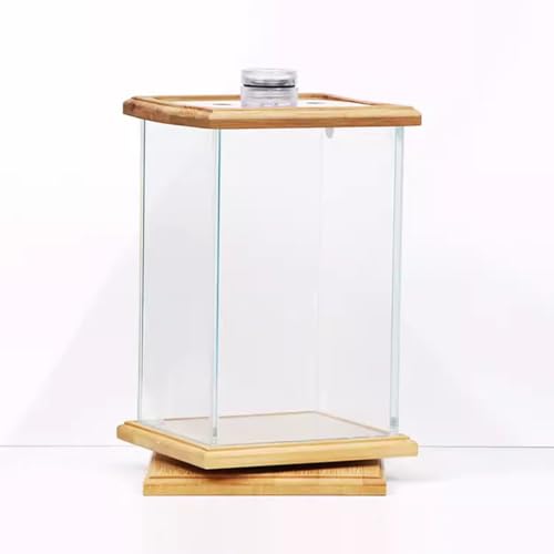 UPWONEC HD -Glas Natürlicher Fischtank, Bürodesktop Rotierende Betta Fischaquarium, 360 ° Rotatable Bambus Betta Fischtank, Rechteckige Transparente Goldfischschale, Acryldeckel Mit Fütterungsloch von UPWONEC