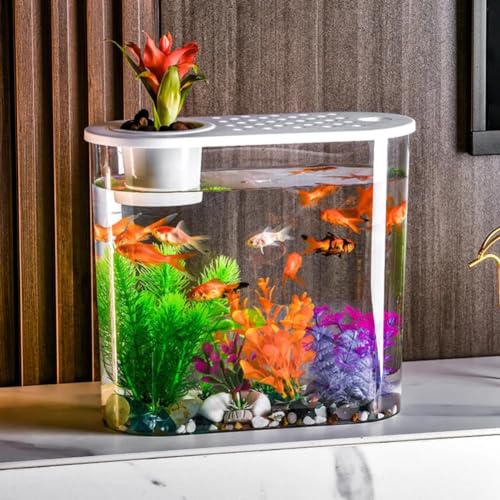 UPWONEC Home Slim Aquaponics Aquarium, Transparentes Büroaquarium, Tragbare Schmale Fischschale Mit Griff, Schlafzimmerdekor Statischer Fischbehälter, Schreibtisch-Wasserdekor, Leicht Zu Reinigen,A von UPWONEC