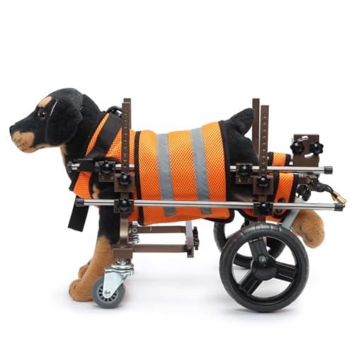 UPWONEC Hunde Walking Disability Cart, Ältere Hunderücker, Allradverstellbarer Hilfskarren Mit Karrengriff, Geeignet Für Hunde Mit Begrenzter Mobilität,Orange von UPWONEC