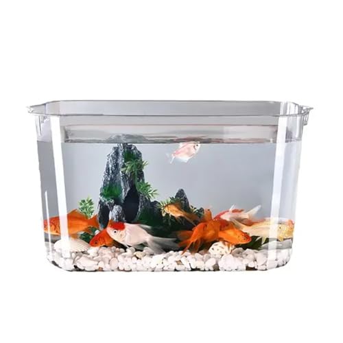 UPWONEC Transparentes Aquarium, Rechteckige Offene Fischschale, Vollständig Durchsichtiges Würfelfischaquarium, Modernes Betta-Aquarium, Mit Griffen Auf Beiden Seiten, Heimsofa-Tischdekoration,L von UPWONEC