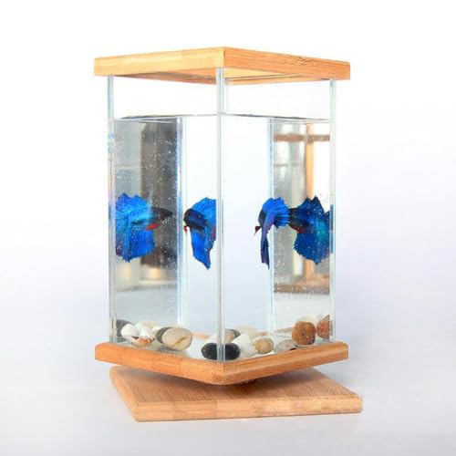 UPWONEC Zylindrisches Drehbares Aquarium Mit Licht, Betta-Aquarium Aus Natürlichem Bambus, Transparente 360°-Ansicht Aus Holz, Kleines Tischaquarium Für Betta-Fische, Wohnzimmerdekor,B von UPWONEC