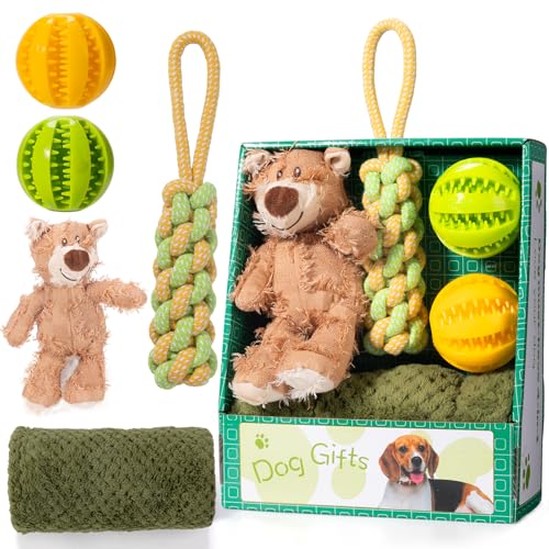 Hundespielzeug-Set mit niedlichem Bär, weiches Quietschspielzeug, 2 Ballspielzeuge à 7 cm, Baumwoll-Zahnreinigungsseil und hochwertige weiche Hundedecke, waschbar. Hundegeschenke für Welpen und ältere von URANZL