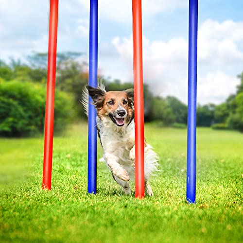 URBNLIVING Hindernis-Trainingsstange, tragbares Ausrüstungs-Set, Agility Weave Poles (Slalom-Set) von URBNLIVING