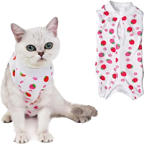 URROMA 1 Stück Katze Baumwolle Genesungsanzug, Katze Sterilisation Erdbeere Anzug Weiche Katze Chirurgie Erholung Schutzshirt Chirurgie Haustiere Kleidung Pyjama, XL von URROMA