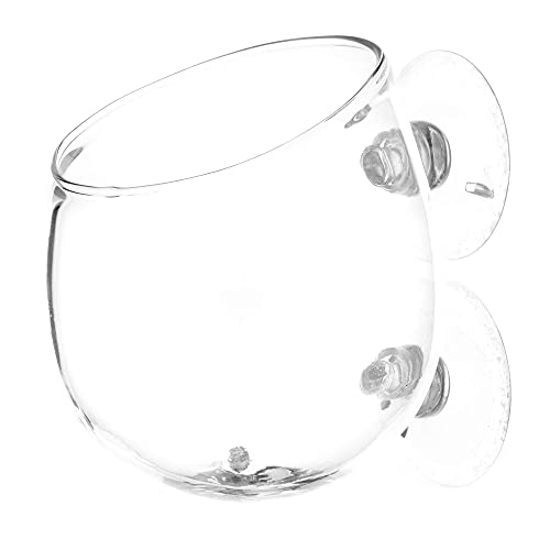 Deko Plant Pot Glas - Wabikusa Schale - Pflanzenschale - Pflanzenhalter für das Aquarium von USCAPE