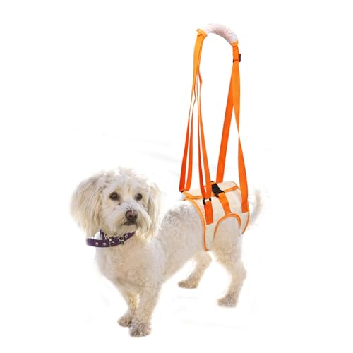 Dog Harness, Rear Carrying Aid, Dog Lift Harness, Portable Lifting Strap, Help Dogs with Weak Rear Legs, for Injured Disabled Small, Medium and Large Dogs (M) von USYSGT