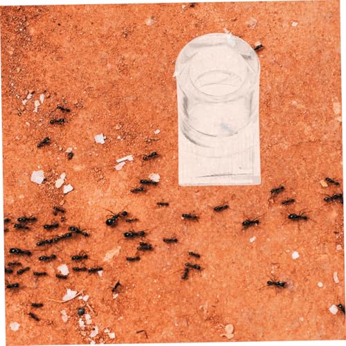 UTHCLO 2 Stück Ant wasserspender Acryl Transparent Langlebig Einfacher Reinigung Pet Bowl für Ameisen Bartagamen Schildkröten Geeignet Klare Sicht Wasserstand für Reptilien und UTHCLO 2 Stück Ant wasserspender Acryl Transparent Langlebig Einfacher Reinigung Pet Bowl für Ameisen Bartagamen Schildkröten Geeignet Klare Sicht Wasserstand für Reptilien und von UTHCLO